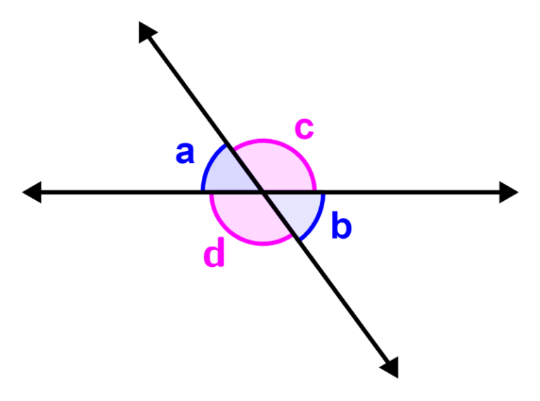 angulos opuestos por el vertice en geometria