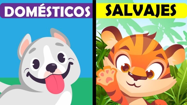 Qué diferencias hay entre animales domésticos y salvajes para niños 29 animales domesticos y salvajes en contraste
