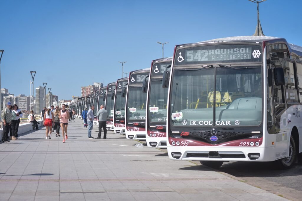 Qué es My Bus Mar del Plata y cómo puedo utilizarlo