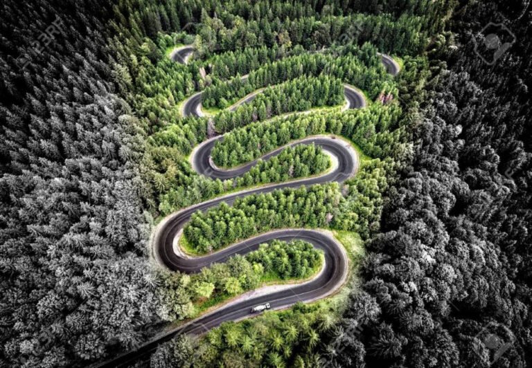 cómo llegar de Tres Arroyos a Mar del Plata en auto o colectivo 6 camino sinuoso hacia mar del plata