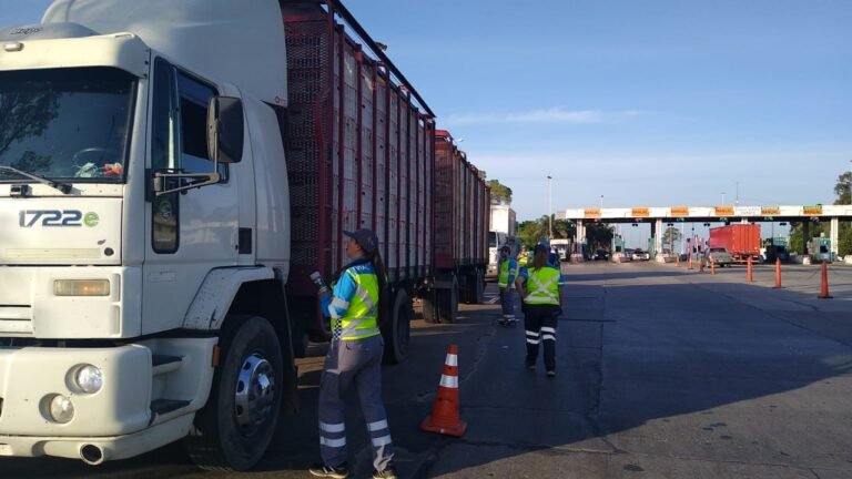 camionero conduciendo por una carretera argentina