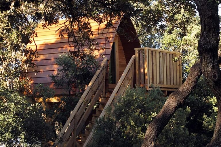 Dónde está ubicado el camping Los Nogales en Estancia Grande 26 camping rodeado de arboles y naturaleza