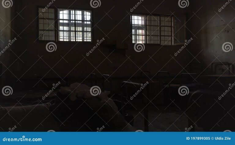 Qué establece el Código Penal Argentino sobre la prisión perpetua 2 celdas vacias en una prision oscura