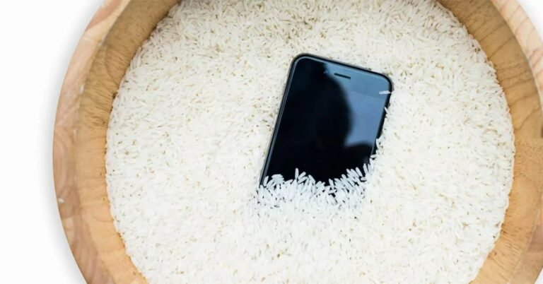 celular seco junto a un arroz