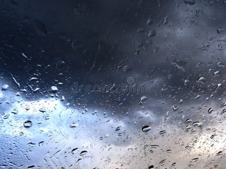 Para cuándo está anunciado el pronóstico de lluvia en mi zona 8 cielo nublado con gotas de lluvia