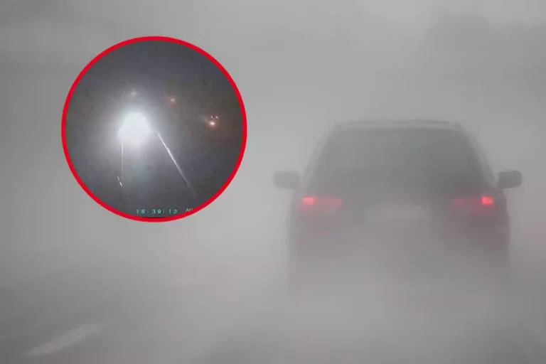 En caso de niebla se debe circular con qué precauciones y medidas 25 coche avanzando en niebla densa