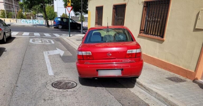 coche mal estacionado en la calle