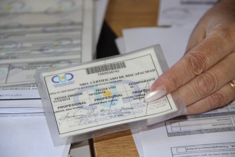 Cómo Leer los Códigos del Certificado de Discapacidad en Argentina 27 codigos de discapacidad en documento oficial