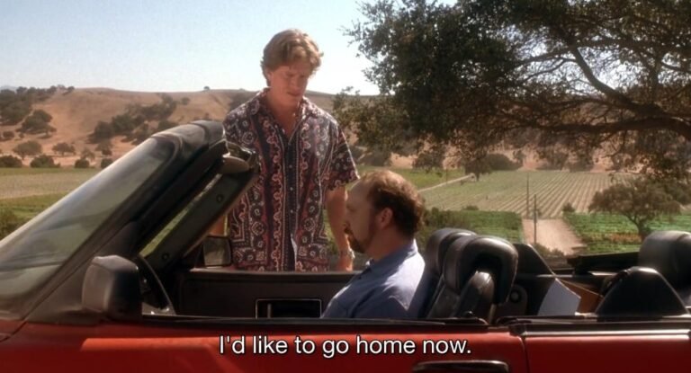 Cuánto cuesta la multa por alcoholemia en Argentina 30 copas de vino y un auto parqueado