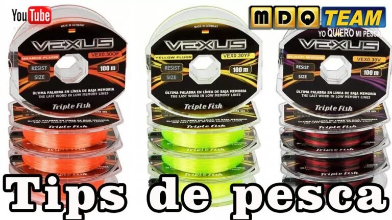 Qué tipo de tanza es la mejor para pescar en el mar 12 diferentes tipos de tanza para pescar