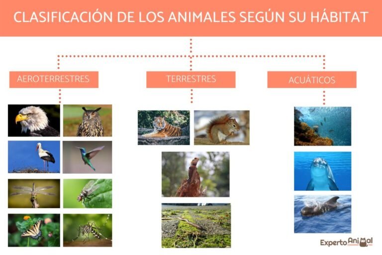 Qué son las adaptaciones de los seres vivos al ambiente 7 diversidad de criaturas en diferentes habitats