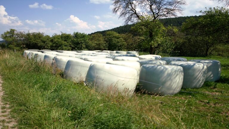 diversos silos para forrajes en el campo
