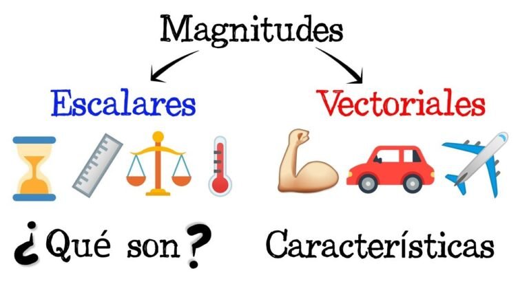 Qué son las magnitudes escalares y vectoriales Ejemplos claros 19 ejemplos de magnitudes escalares y vectoriales