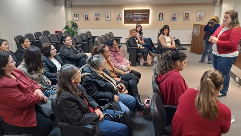 Qué obra social pueden elegir las empleadas domésticas en Bahía Blanca 13 empleadas domesticas en reunion comunitaria