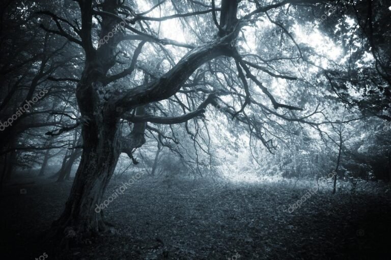 escena de un bosque misterioso y neblinoso