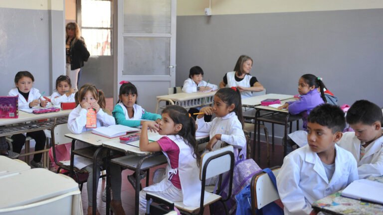 Cuáles son las trayectorias escolares en el nivel primario en Argentina 25 estudiantes en un aula escolar argentina