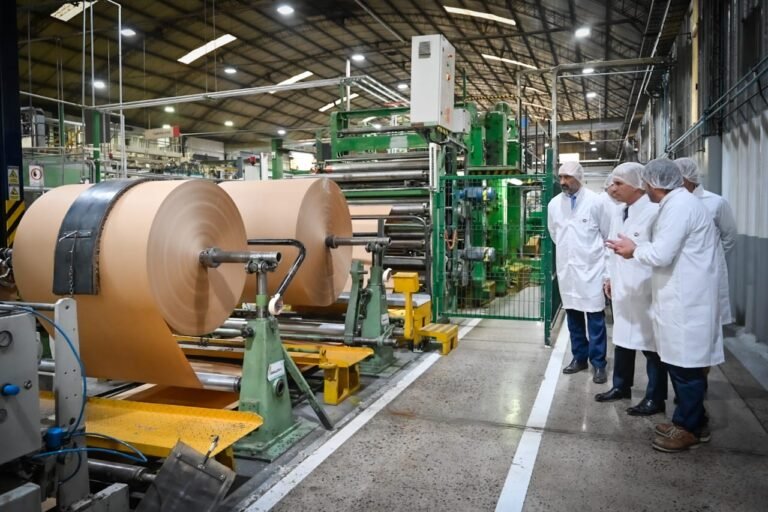 fabrica de papel en san luis argentina