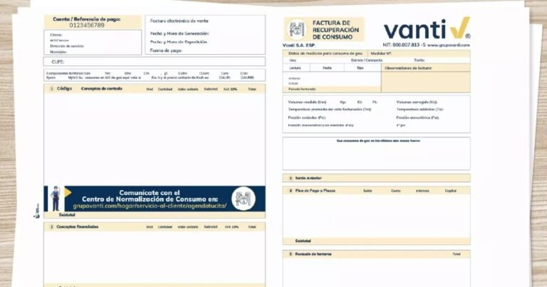 facturas de gas y pago en linea