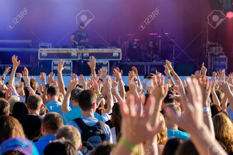 fanaticos disfrutando de un concierto en vivo