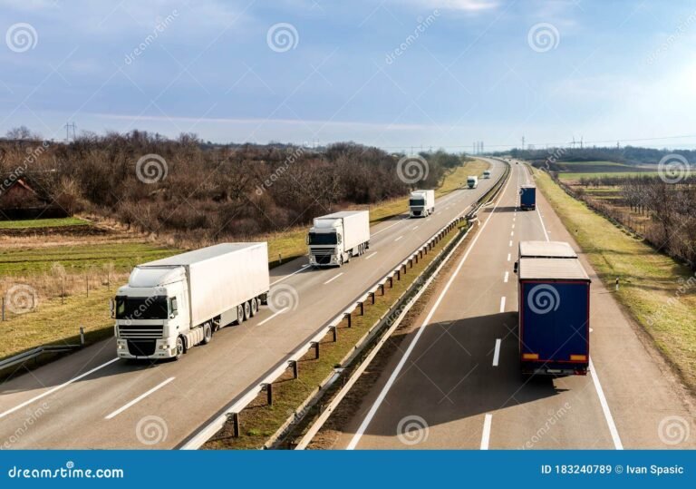 Qué servicios ofrece Transporte Automotores La Estrella SRL 22 flota de camiones en carretera