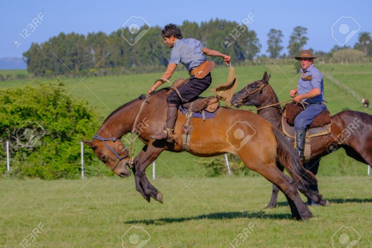 gaucho montando a caballo en batalla