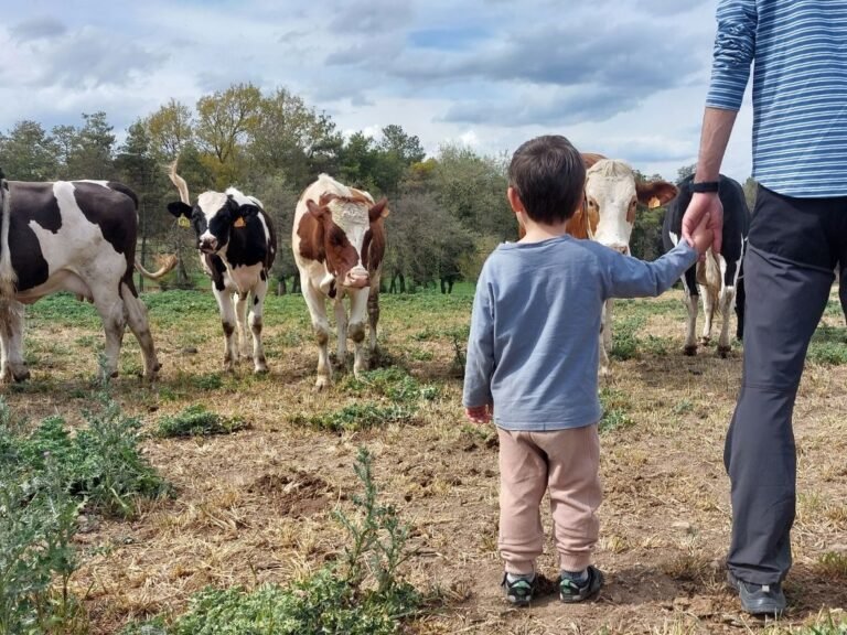 Qué granjas en Argentina son ideales para disfrutar en familia 13 granja familiar con ninos y animales
