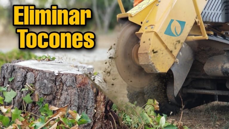 Cómo puedo quitar un árbol de raíz de forma efectiva 2 herramientas para quitar un arbol de raiz
