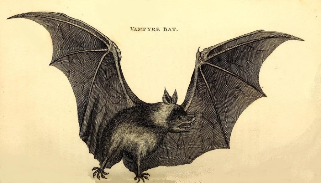 Qué trata «El hombre de los pies murciélagos» y cuáles son sus temas principales