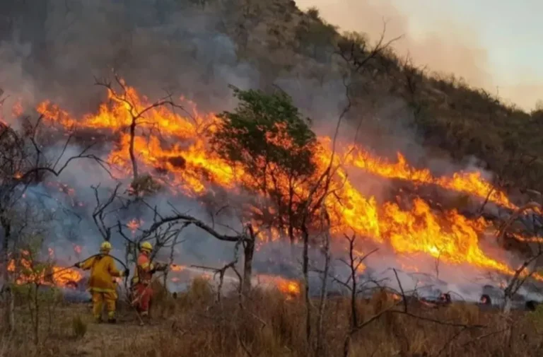 Qué ocurrió con el incendio en Mar del Plata y cuáles fueron las causas 24 incendio forestal en mar del plata