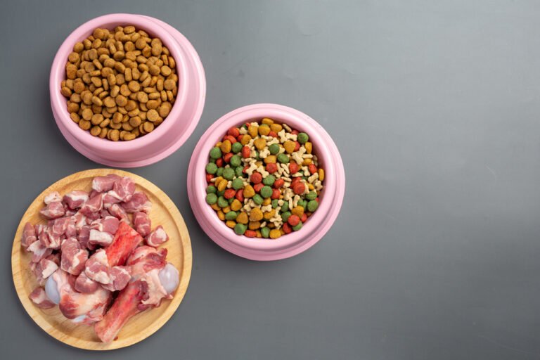 Cómo hacer una fórmula casera de alimento balanceado para perros 23 ingredientes frescos para comida de perros