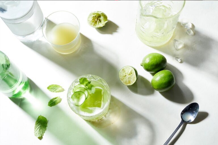 ingredientes frescos para un gin tonic