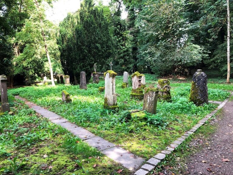 Dónde encontrar las necrológicas de La Voz del Interior 24 lapidas en un cementerio tranquilo