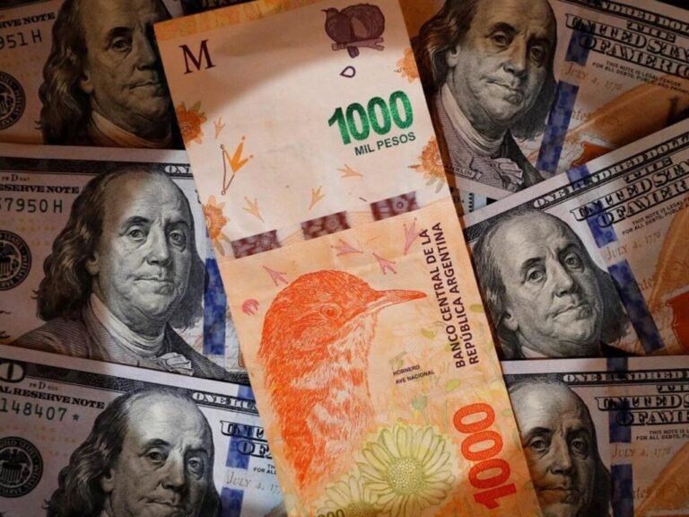 moneda estadounidense y pesos argentinos juntos