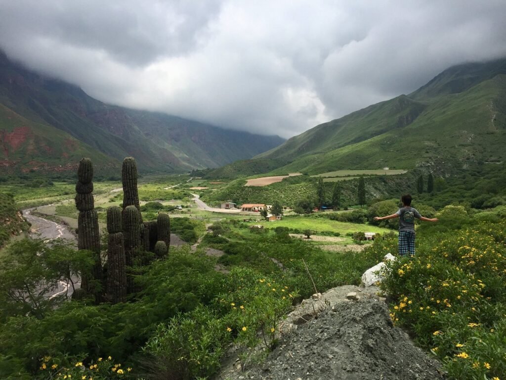 Qué relación hay entre San Martín, Buenos Aires y Salta