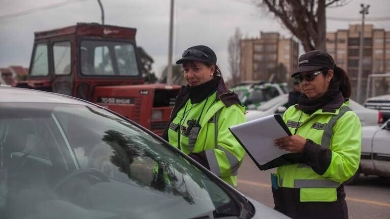 Cómo consultar y pagar las multas por patente en Mar del Plata 4 multas de transito en mar del plata