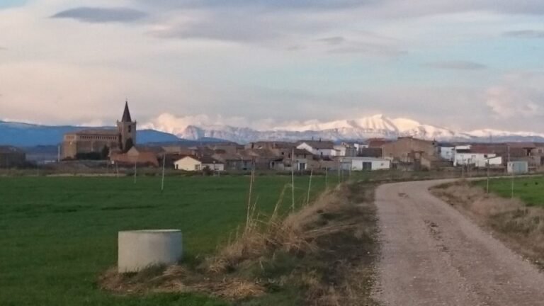 Qué es la Red Argentina de Municipios frente al Cambio Climático 12 municipios y naturaleza en armonia