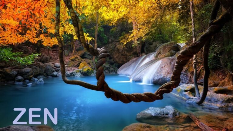 Qué canciones son ideales para acompañar tus clases de yoga 14 musica suave y relajante en un entorno natural