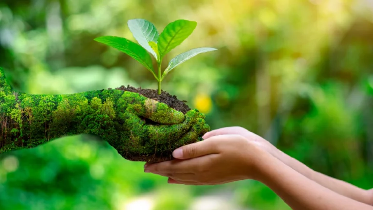 Qué funciones cumple el Organismo Provincial para el Desarrollo Sostenible 18 naturaleza y sostenibilidad en accion