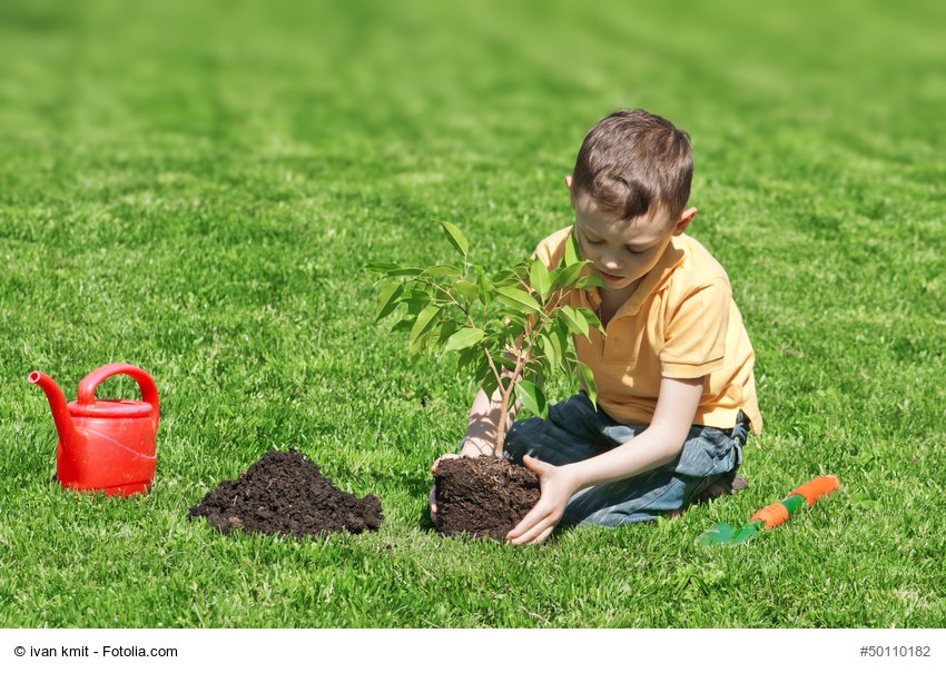 Qué Es Un Huerto Escolar Y Cuáles Son Sus Beneficios Para Los Niños