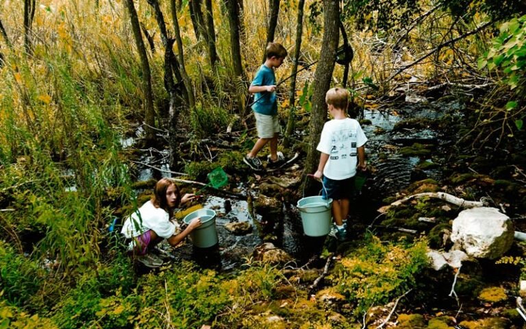 Qué propiedades del agua son importantes para que los niños las aprendan 6 ninos explorando el agua en la naturaleza