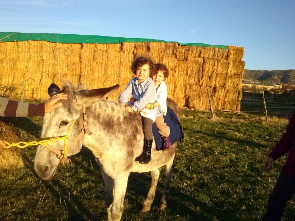 Dónde encontrar las mejores granjas para visitar con niños en Argentina