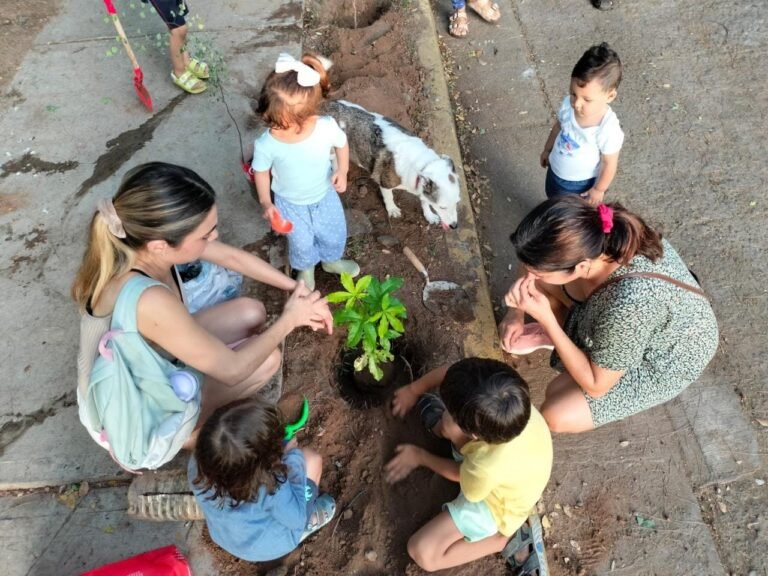 ninos plantando arboles en un parque 1