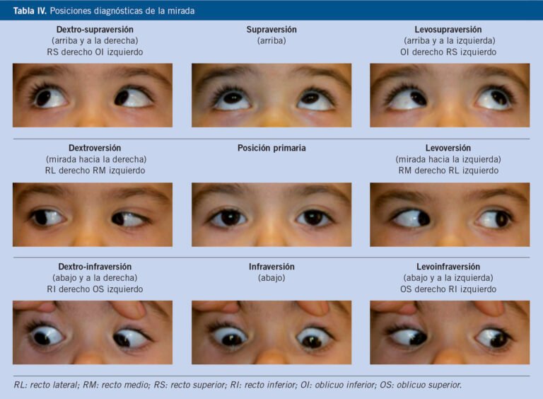 Qué significa que te late el ojo derecho según Yahoo 16 ojo derecho parpadeando en primer plano