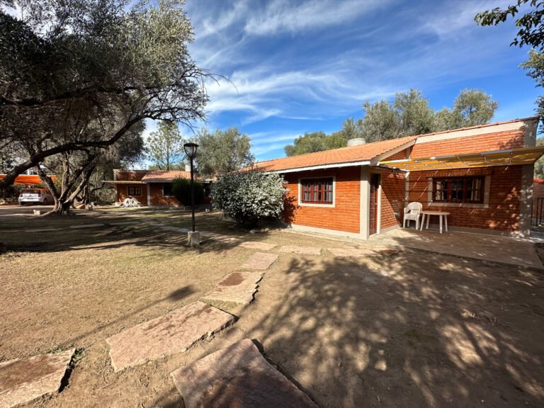 olivos en paisaje de merlo san luis