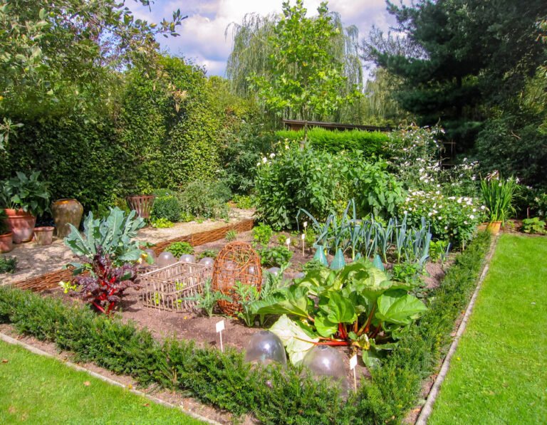 paisaje de productos frescos en casa