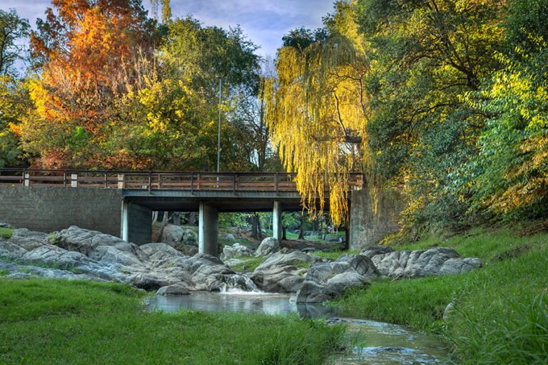 paisaje de villa belgrano en otono