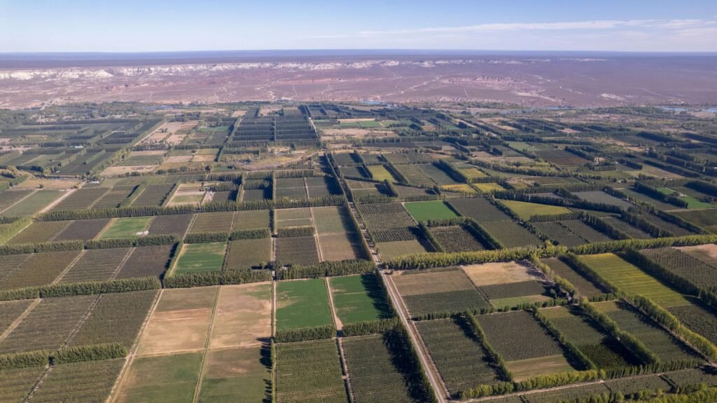 Qué lugares turísticos visitar en el Alto Valle de Río Negro