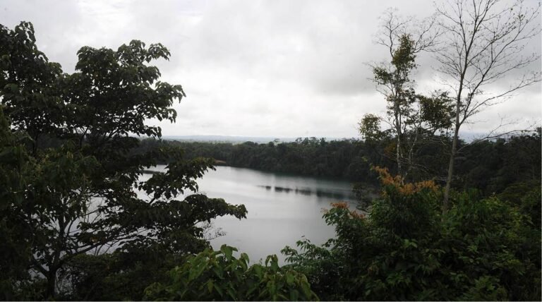 Cuánto llovió en Río Cuarto en el último informe meteorológico 26 paisaje lluvioso en rio cuarto