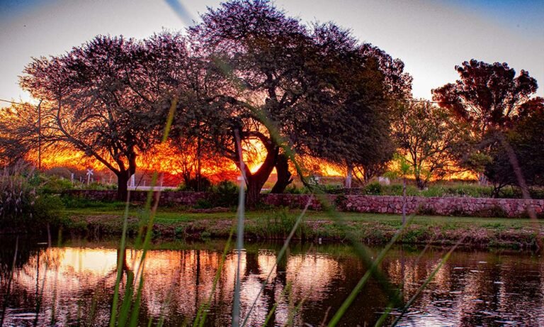 Qué atractivos turísticos ofrece Colonia Dora en Santiago del Estero 7 paisaje natural de colonia dora santiago del estero