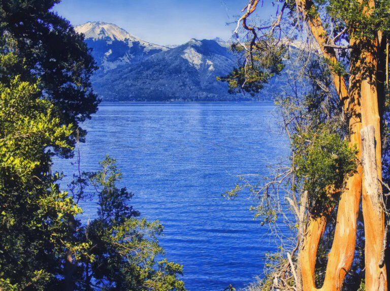 paisaje natural de san martin de los andes